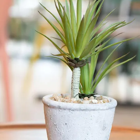 Sure By Western Rochefort-sur-mer 3* Tonnay-Charente